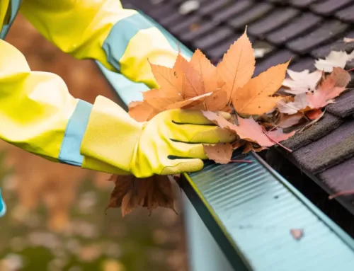 Fall Home Maintenance & Insurance: Does Your Coverage Match Your Needs?